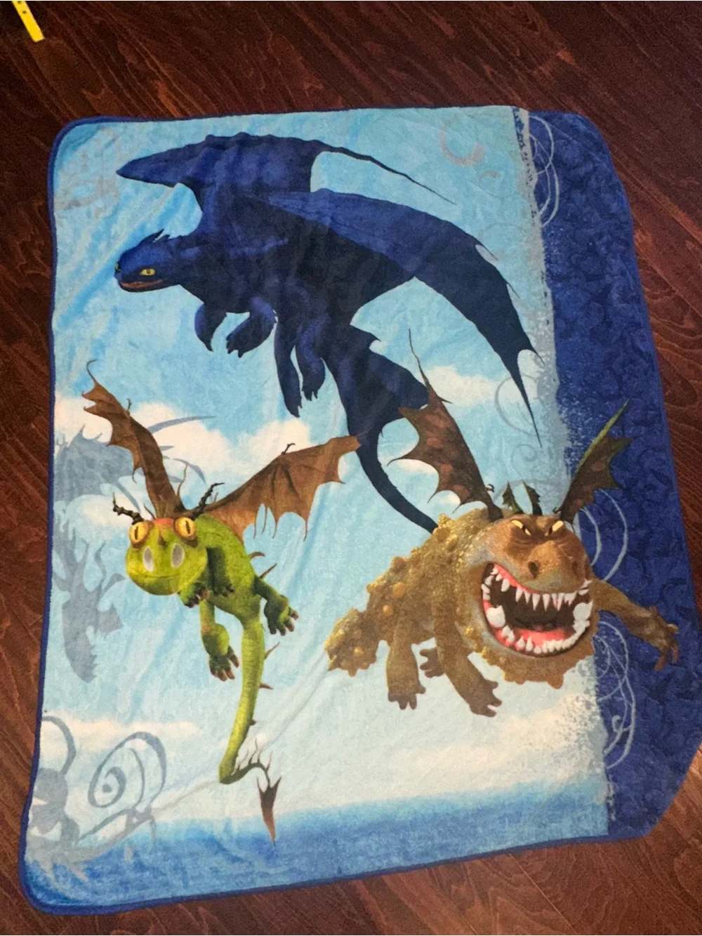 Vintage 2010 How to Train Your Dragon fleece blanket